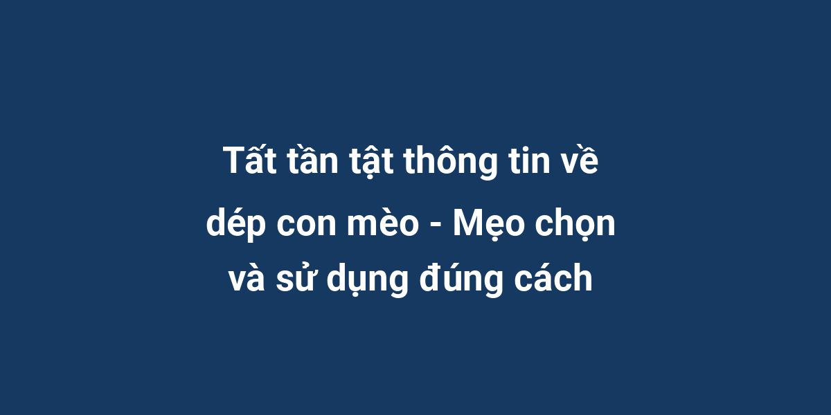 Tất tần tật thông tin về dép con mèo - Mẹo chọn và sử dụng đúng cách