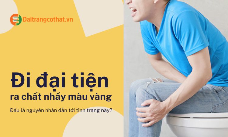 Tìm hiểu về đi đại tiện có chất nhầy - Nguyên nhân và cách giải quyết