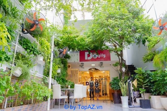Tìm địa chỉ phối giống mèo tại Hà Nội - Danh sách địa điểm uy tín