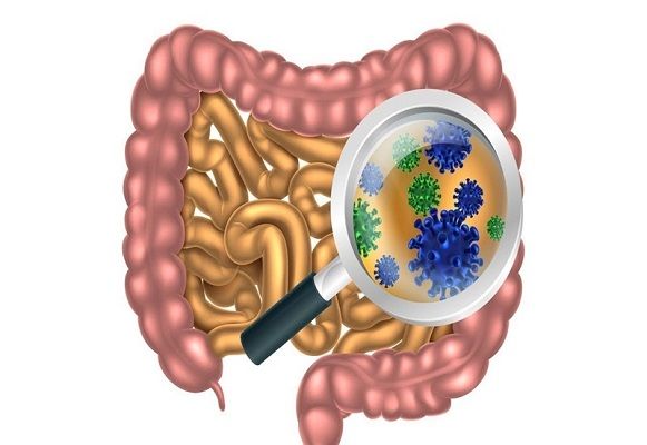 Tất tần tật thông tin về điều trị bệnh viêm ruột non