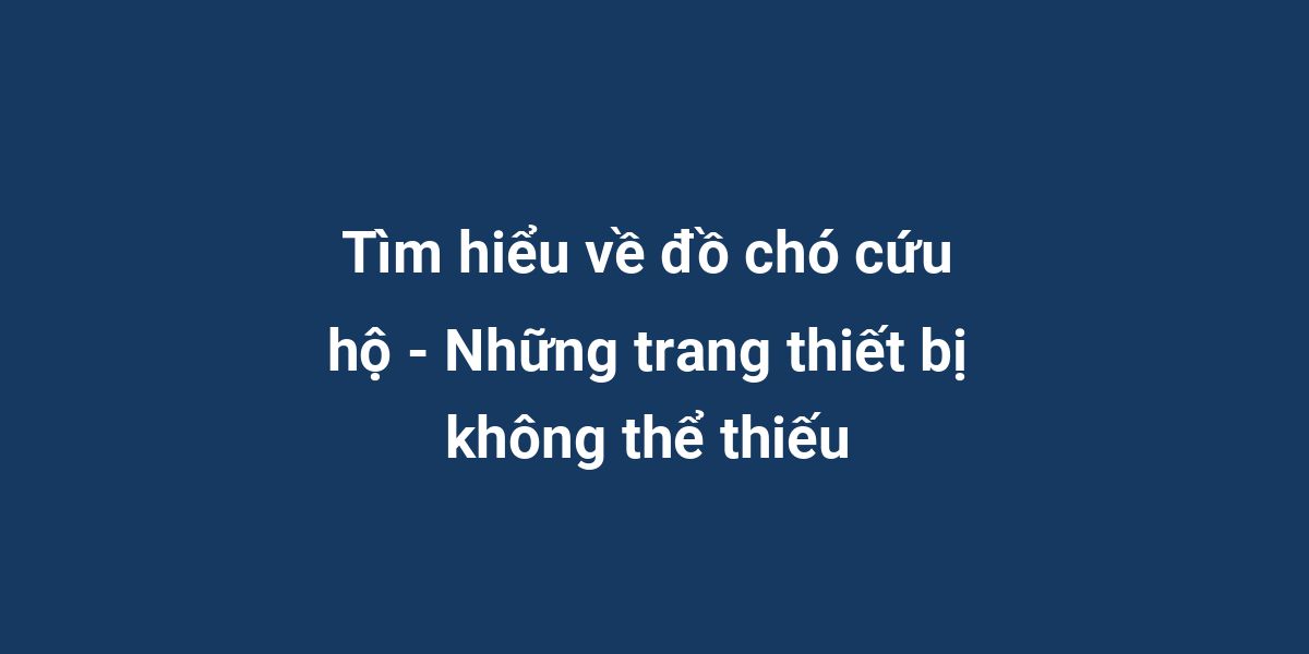 Tìm hiểu về đồ chó cứu hộ - Những trang thiết bị không thể thiếu