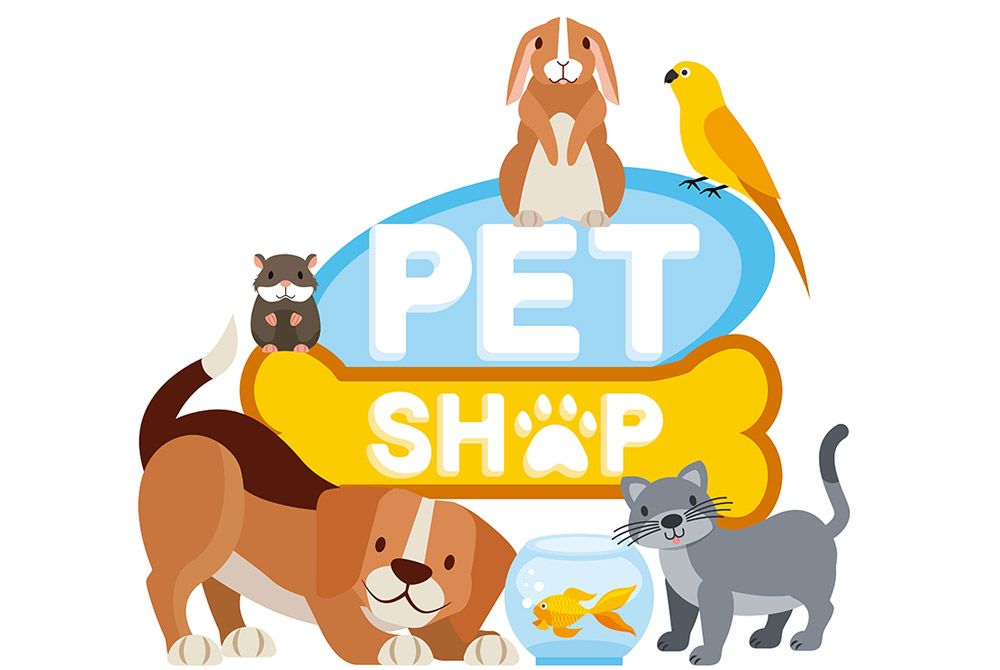 Dogparadise.vn: Shop thú cưng Võ Văn Tần chuyên cung cấp đồ dùng thú cưng uy tín