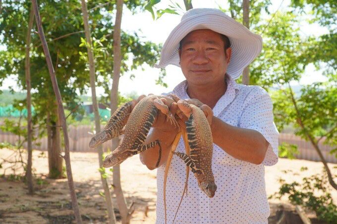 Tìm hiểu về giá dông cát giá bao nhiêu - Tin tức mới nhất 2021