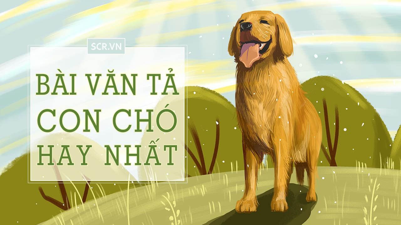 Tả một con chó em yêu thích - Thông tin chi tiết về vật nuôi bạn đồng hành