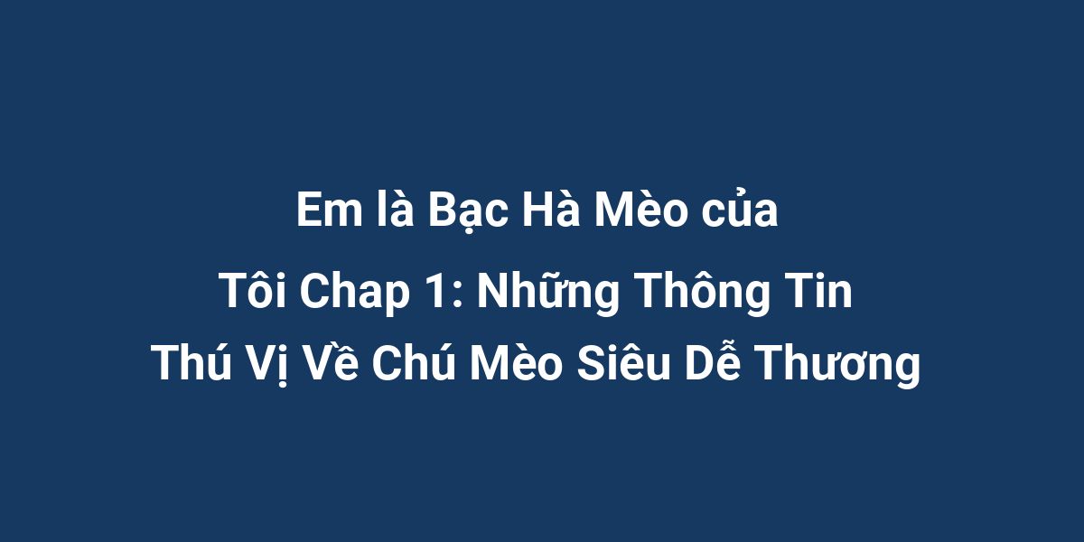 Em là Bạc Hà Mèo của Tôi Chap 1: Những Thông Tin Thú Vị Về Chú Mèo Siêu Dễ Thương