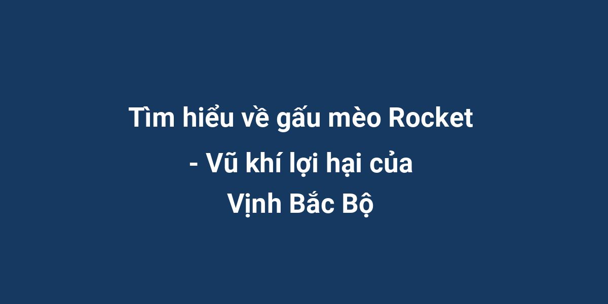 Tìm hiểu về gấu mèo Rocket - Vũ khí lợi hại của Vịnh Bắc Bộ