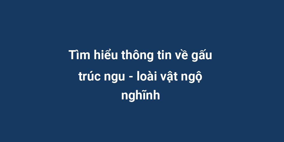 Tìm hiểu thông tin về gấu trúc ngu - loài vật ngộ nghĩnh