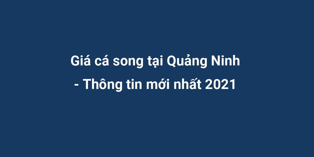 Giá cá song tại Quảng Ninh - Thông tin mới nhất 2021
