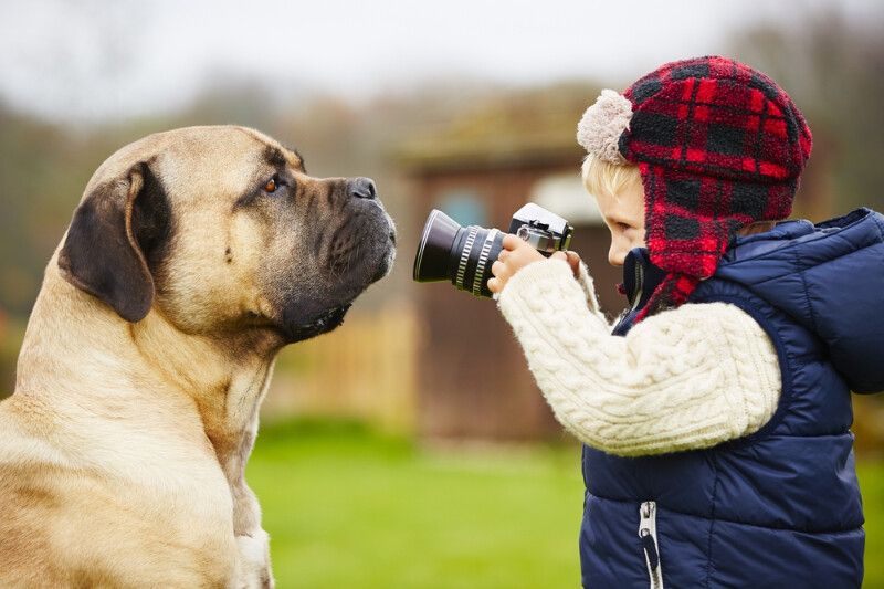 Tìm hiểu về giống chó khổng lồ - Sự lựa chọn hoàn hảo cho những người yêu thú cưng