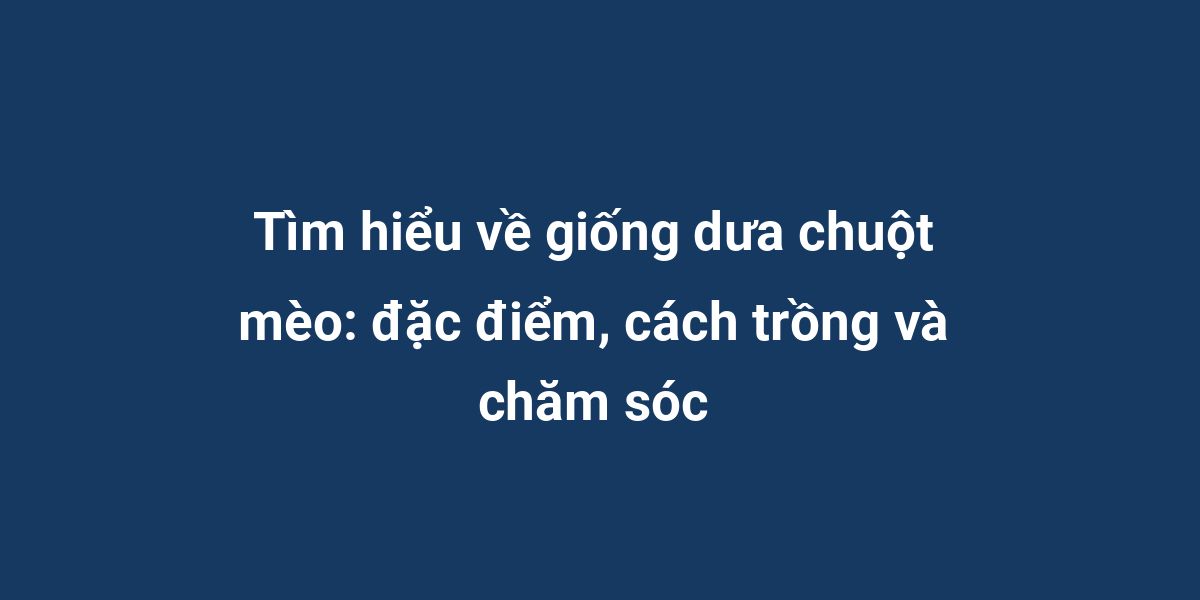 Tìm hiểu về giống dưa chuột mèo: đặc điểm, cách trồng và chăm sóc