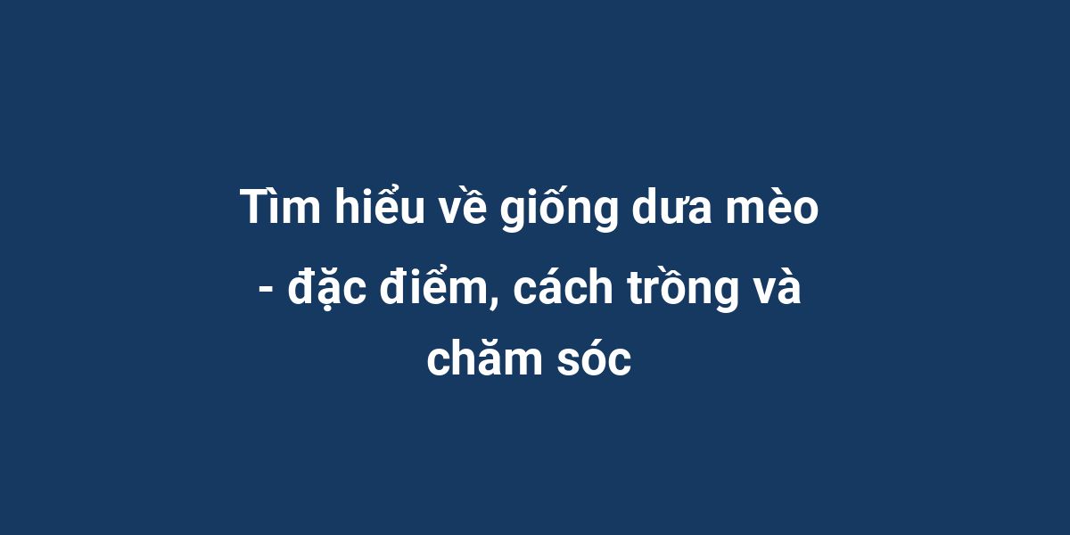 Tìm hiểu về giống dưa mèo - đặc điểm, cách trồng và chăm sóc