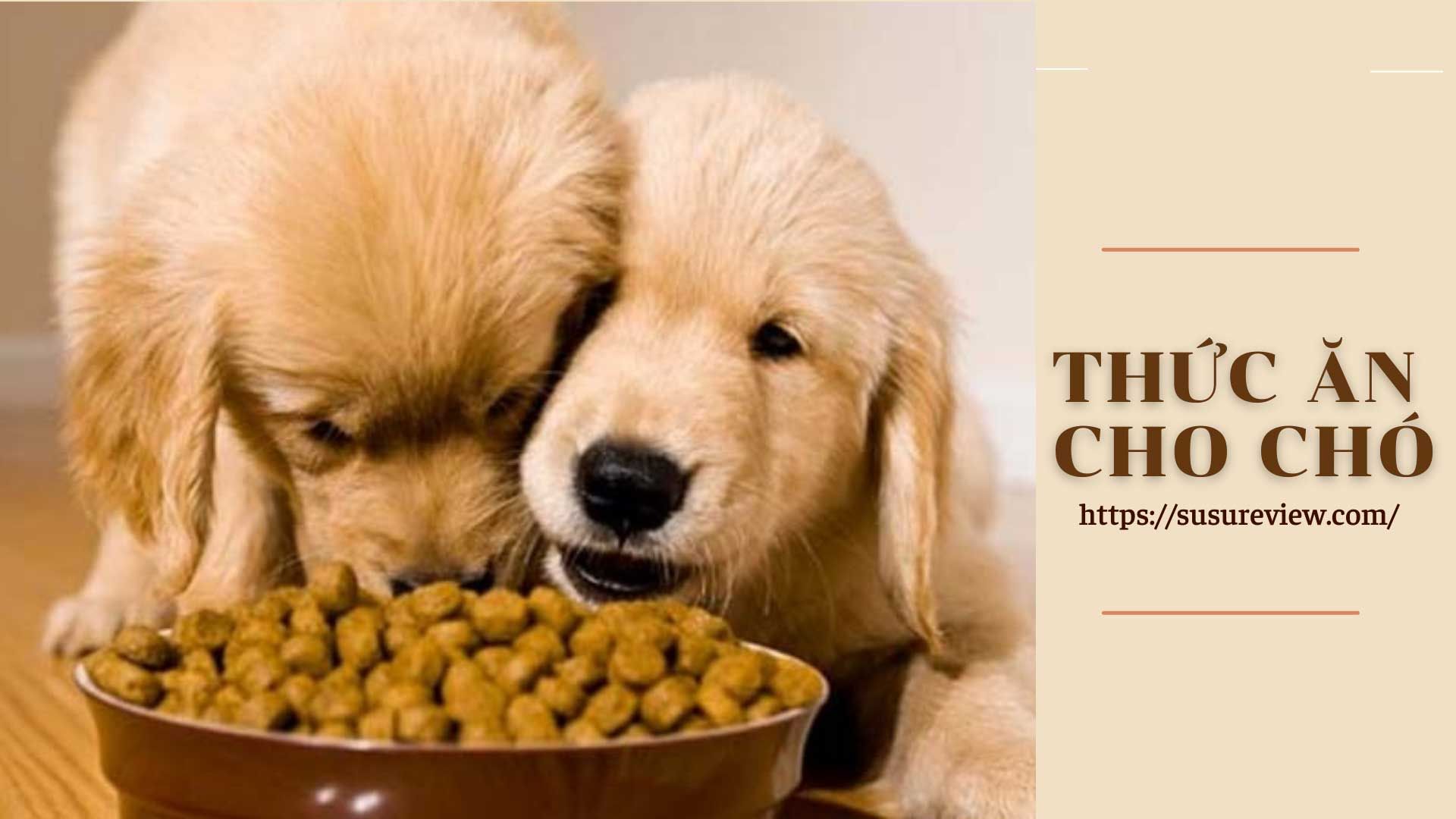 Tìm hiểu về gói thức ăn cho chó - Hướng dẫn chọn lựa và sử dụng hiệu quả