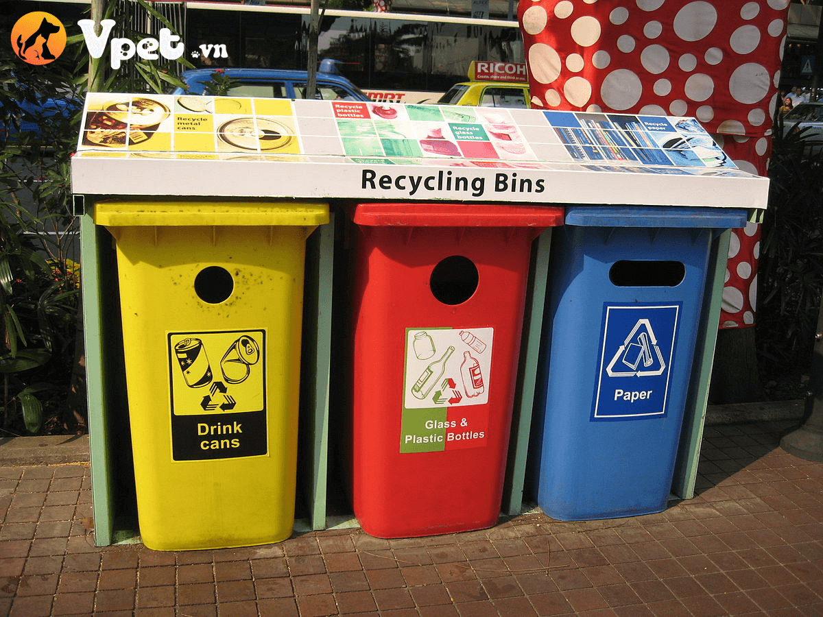 Hạn chế rác thải nhựa từ việc chăm sóc thú cưng để bảo vệ môi trường