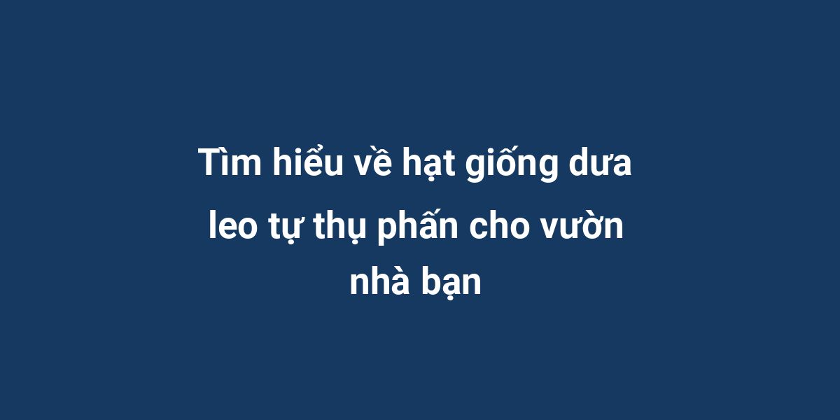 Tìm hiểu về hạt giống dưa leo tự thụ phấn cho vườn nhà bạn