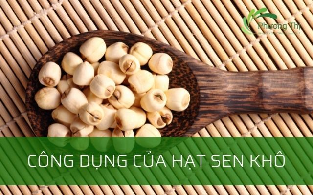 Hạt sen kỵ với gì? Những thực phẩm nên tránh khi sử dụng hạt sen