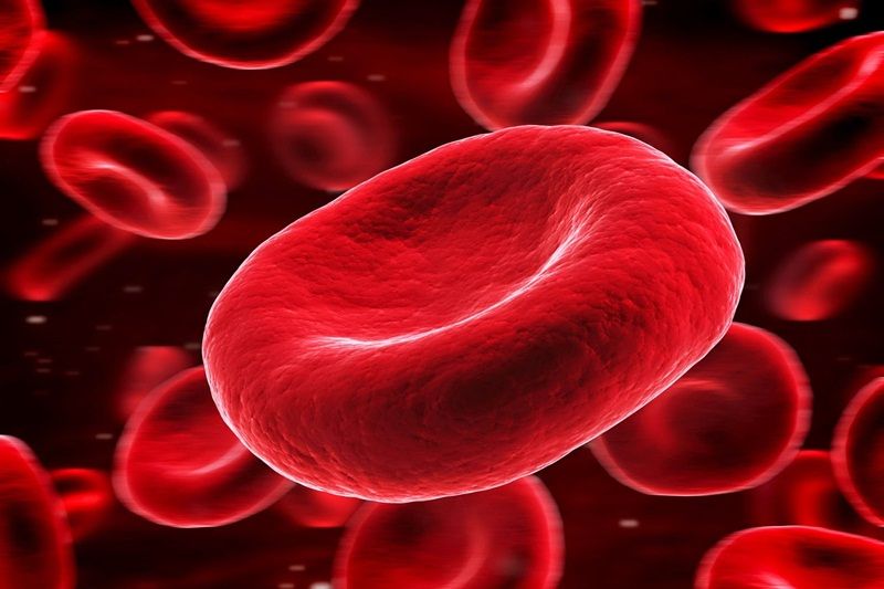 Tìm hiểu về hemoglobin - định nghĩa, chức năng và giá trị sức khỏe