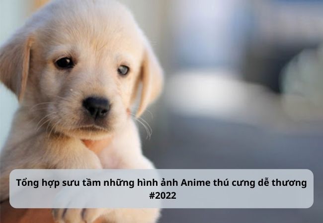 Tuyển chọn những hình ảnh thú cưng cute anime siêu đáng yêu