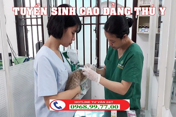 Học thú y cấp tốc - Cách nhanh chóng trở thành chuyên gia thú y