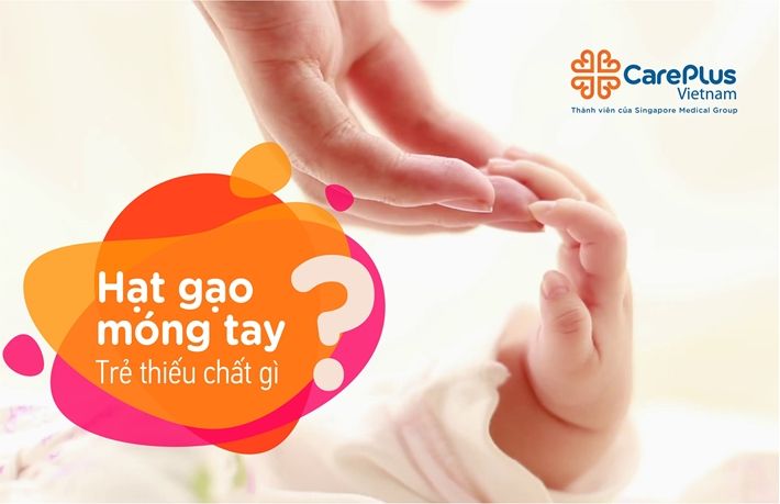 Tìm hiểu thông tin về hột gạo móng tay