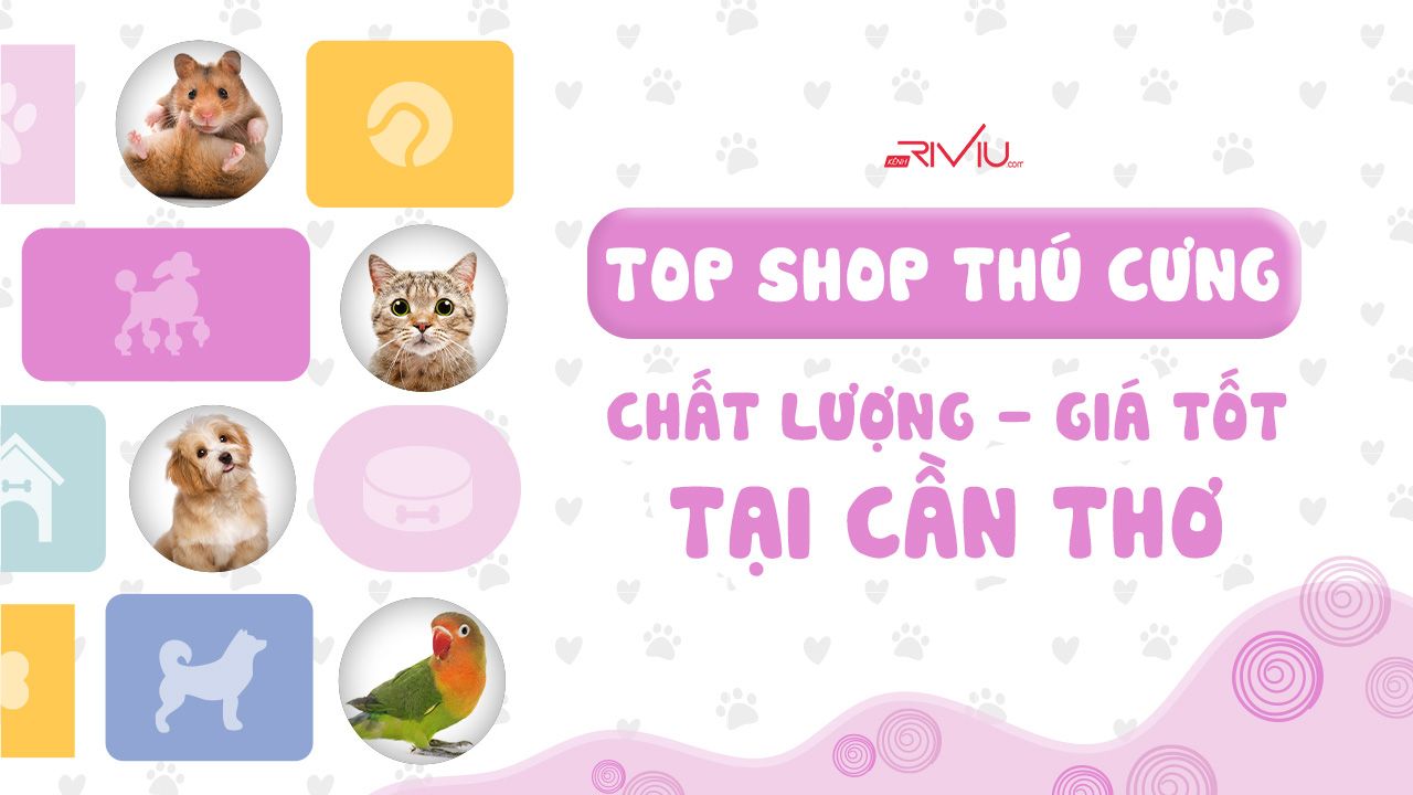 Tìm hiểu về iShop Thú Cưng - Siêu thị đồ dành cho thú cưng