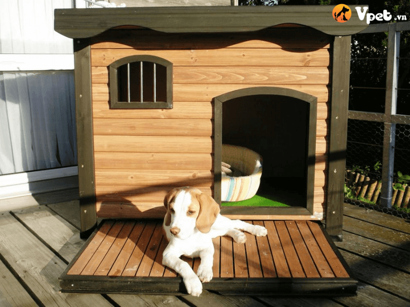 Mẫu nhà nuôi chó cảnh bằng gỗ
