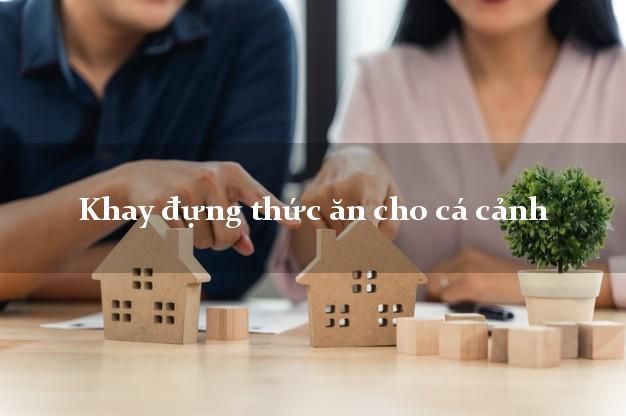 Khay đựng thức ăn cho cá - Điều cần biết và hướng dẫn lựa chọn đúng