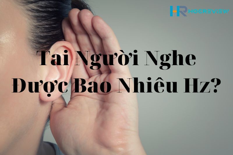 Khoảng nghe được của tai người - điều gì bạn cần biết?