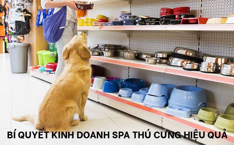 Kinh doanh spa thú cưng - Mở rộng thị trường và tăng doanh thu