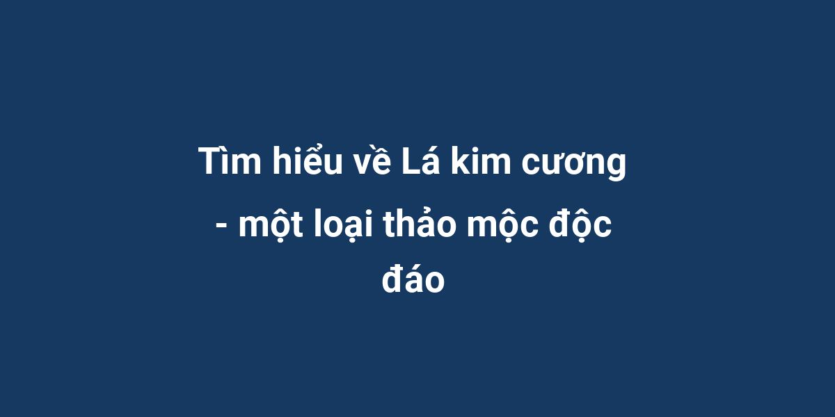 Tìm hiểu về Lá kim cương - một loại thảo mộc độc đáo