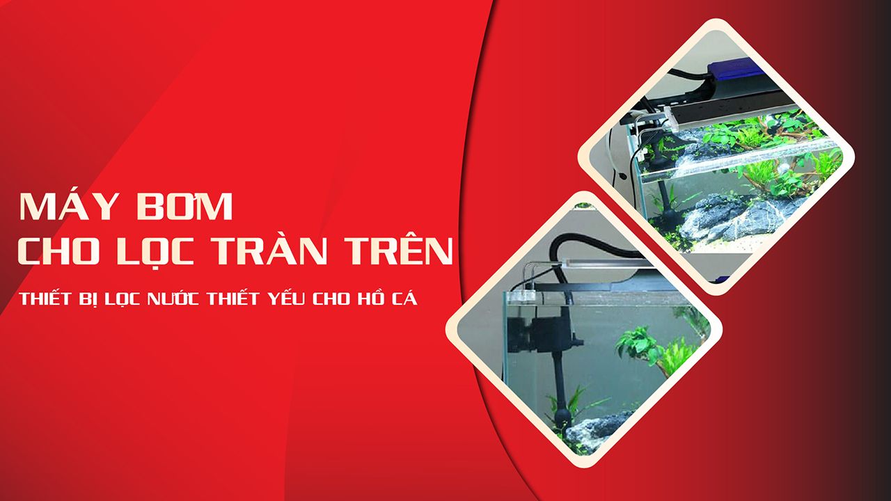 Tìm hiểu về lọc tràn trên để bảo vệ môi trường