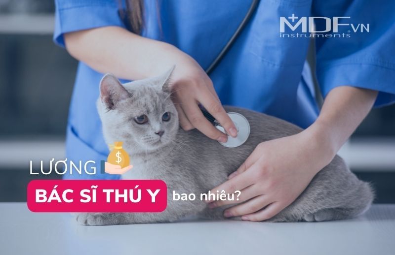Tìm hiểu thông tin về lương bác sĩ thú y tại Việt Nam