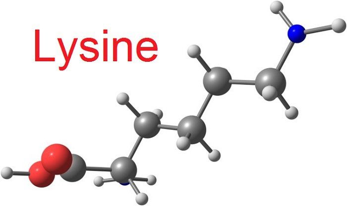 Lysine có tác dụng gì? Tìm hiểu về lợi ích và vai trò của lysine trong cơ thể