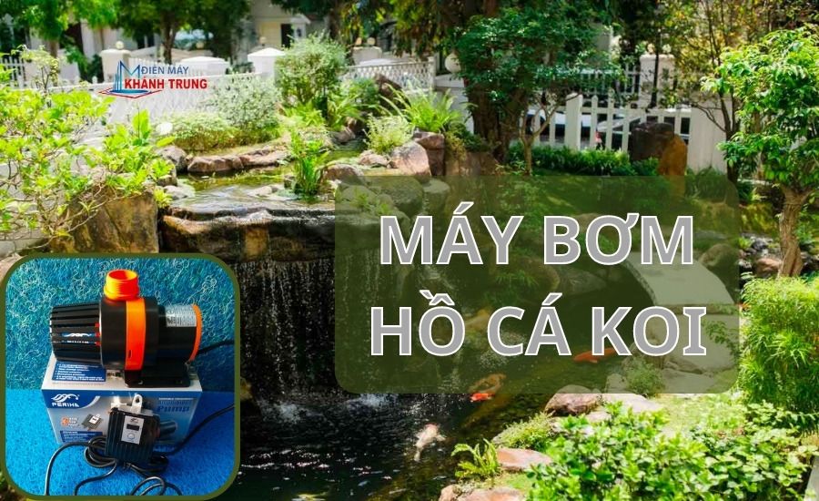 Máy bơm hồ cá koi tiết kiệm điện: Giải pháp hiệu quả cho việc nuôi cá Koi