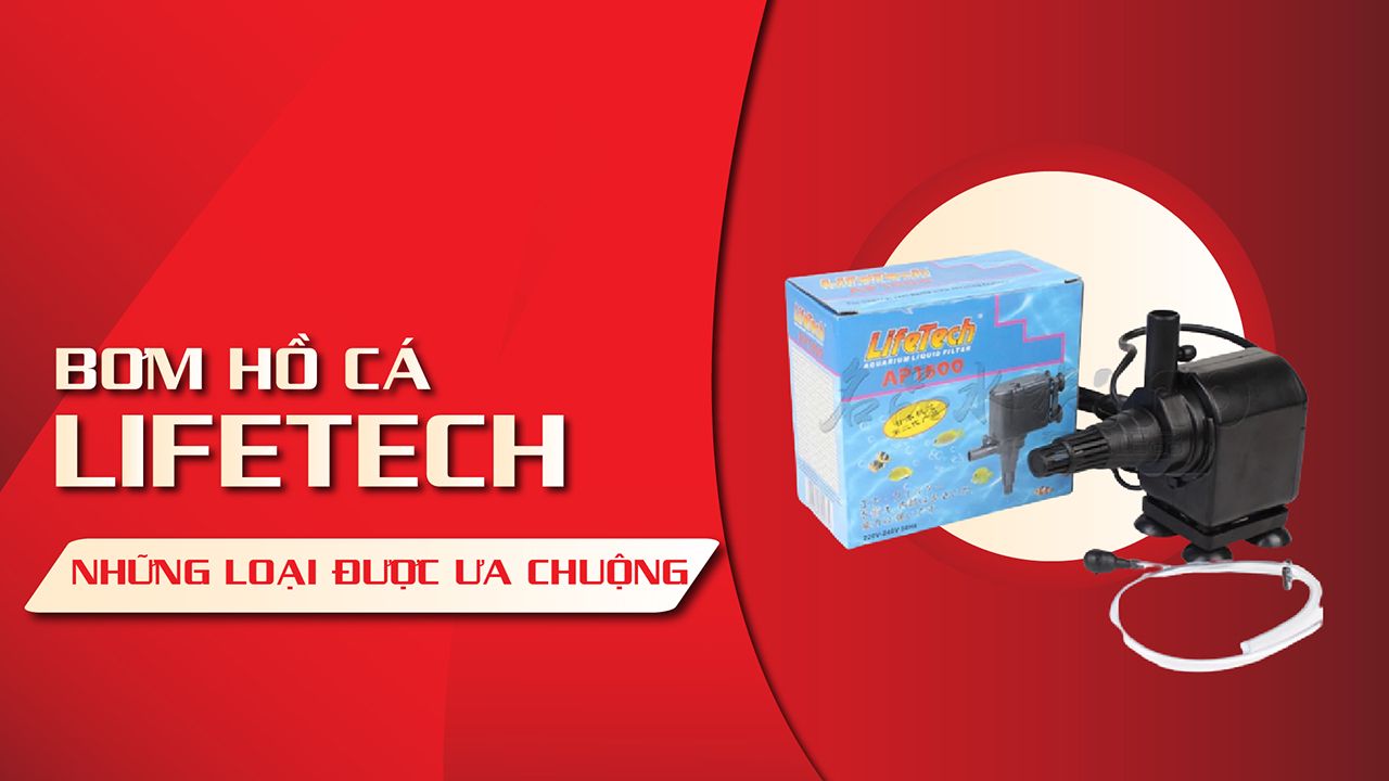 Máy bơm Lifetech - thông tin chi tiết về tính năng và hiệu suất