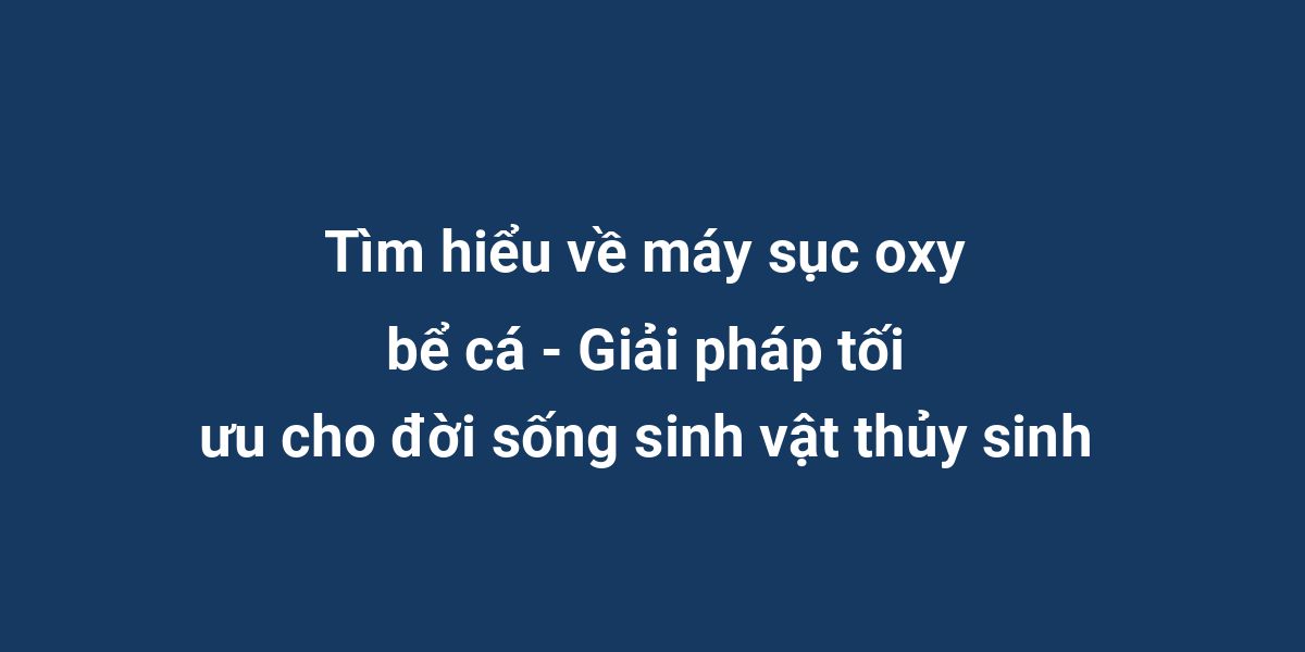 Tìm hiểu về máy sục oxy bể cá - Giải pháp tối ưu cho đời sống sinh vật thủy sinh