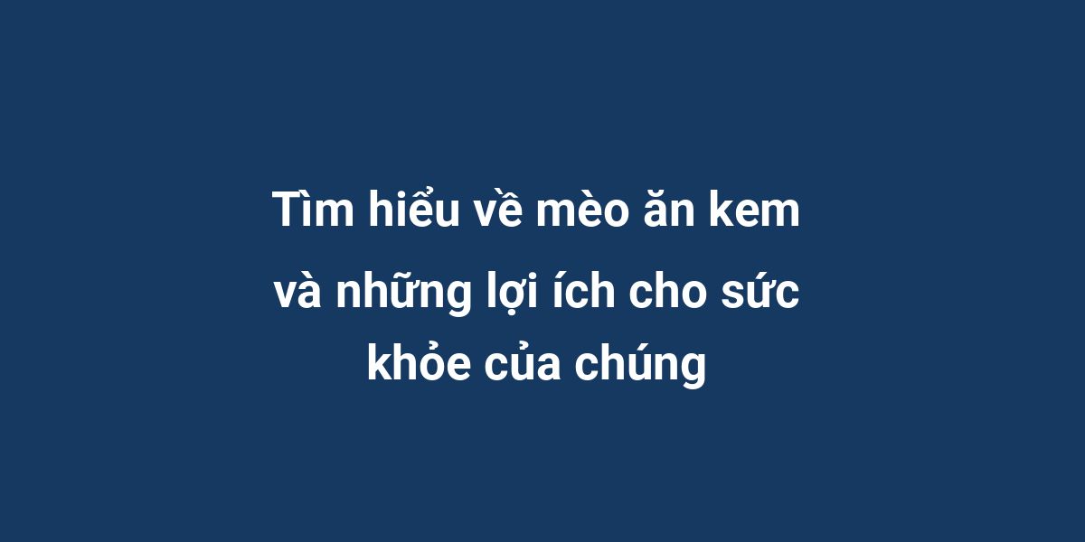 Tìm hiểu về mèo ăn kem và những lợi ích cho sức khỏe của chúng