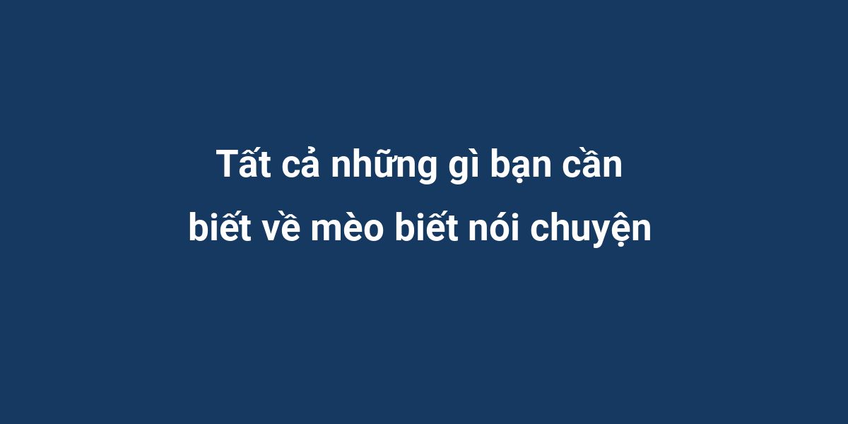 Tất cả những gì bạn cần biết về mèo biết nói chuyện