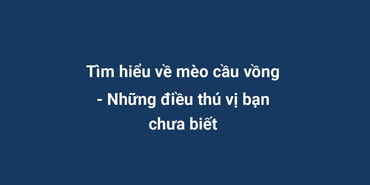 Tìm hiểu về mèo cầu vồng - Những điều thú vị bạn chưa biết