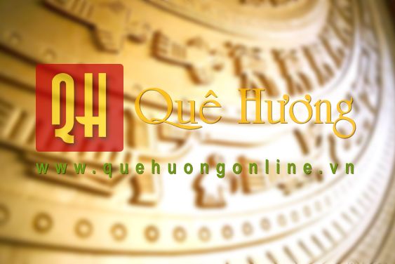 Tìm hiểu về mèo già hóa cáo: Sự thật được phơi bày