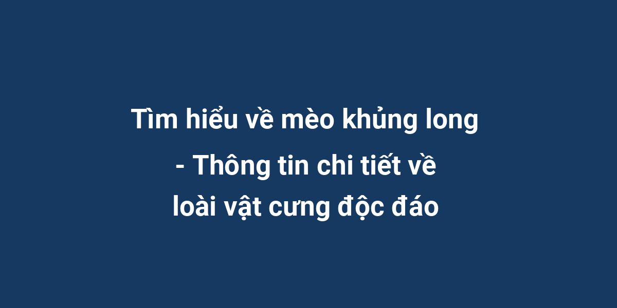 Tìm hiểu về mèo khủng long - Thông tin chi tiết về loài vật cưng độc đáo