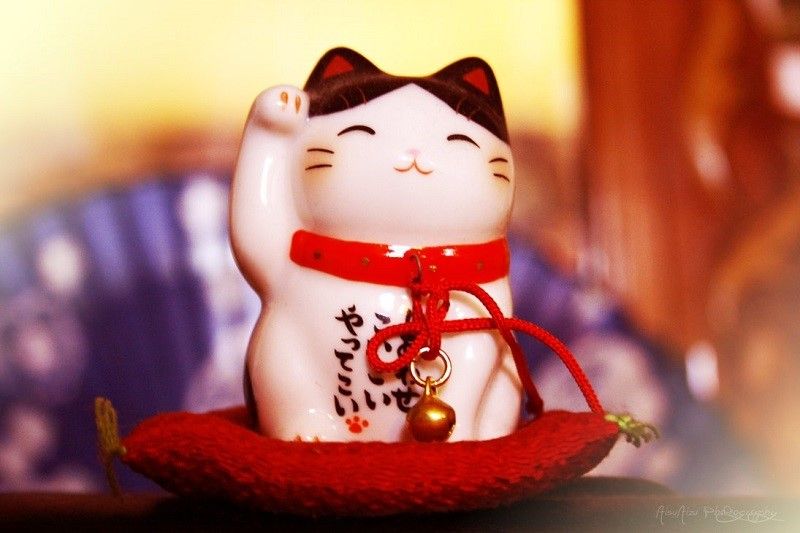 Tìm hiểu về mèo may mắn Maneki Neko - biểu tượng may mắn của Nhật Bản