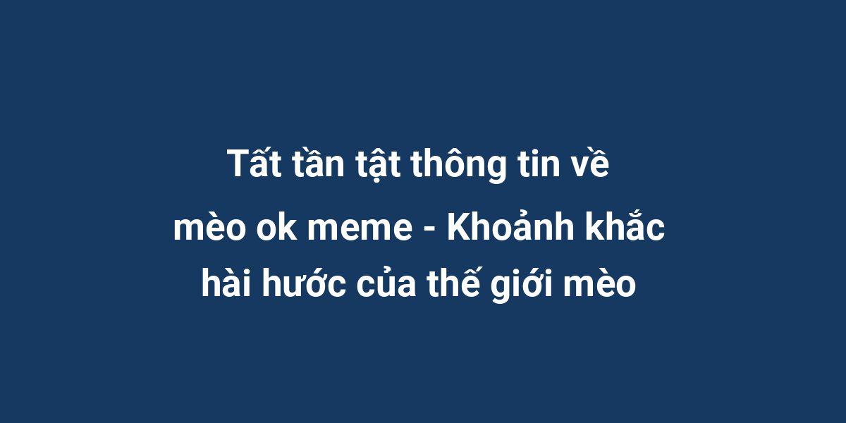 Tất tần tật thông tin về mèo ok meme - Khoảnh khắc hài hước của thế giới mèo