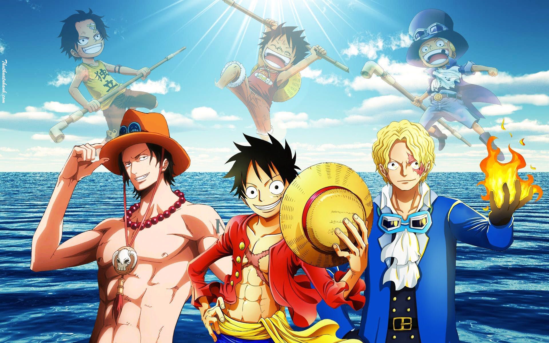 Tìm hiểu về Mèo One Piece - Nhân vật thú cưng đáng yêu trong Anime nổi tiếng