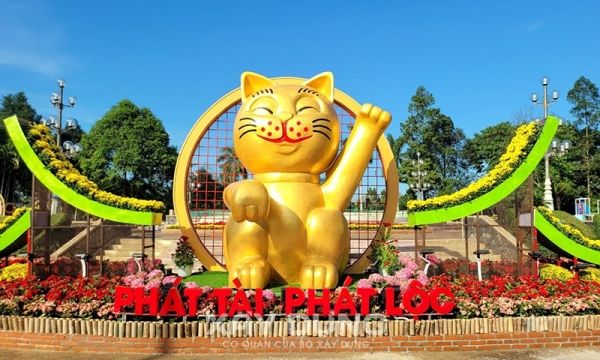 Mèo Quảng Ngãi - Tìm hiểu về giống mèo độc đáo của miền Trung