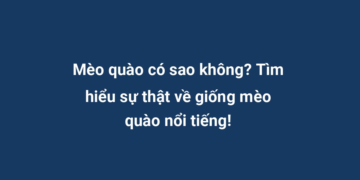 Mèo quào có sao không? Tìm hiểu sự thật về giống mèo quào nổi tiếng!