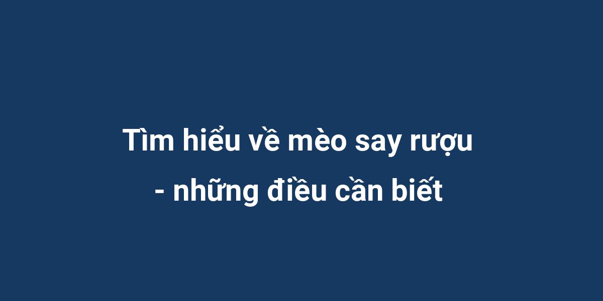 Tìm hiểu về mèo say rượu - những điều cần biết