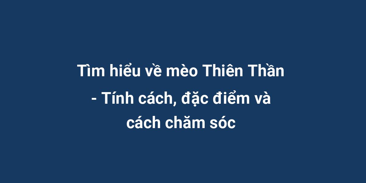 Tìm hiểu về mèo Thiên Thần - Tính cách, đặc điểm và cách chăm sóc