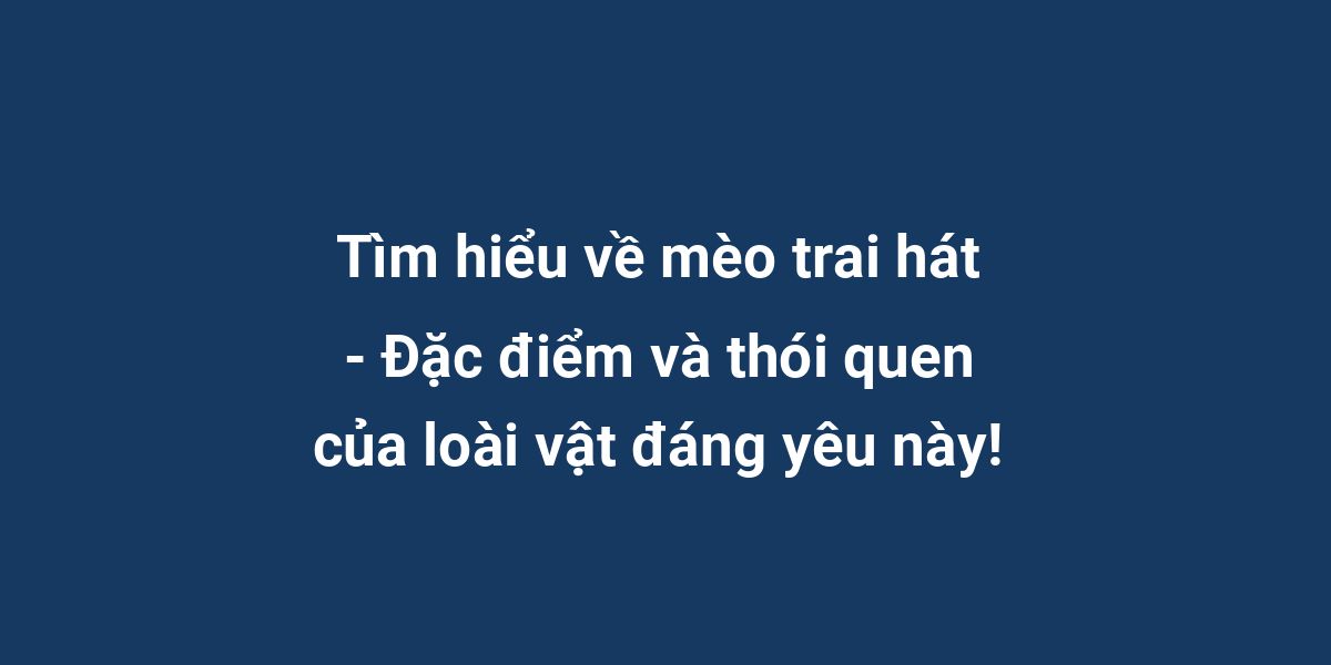 Tìm hiểu về mèo trai hát - Đặc điểm và thói quen của loài vật đáng yêu này!