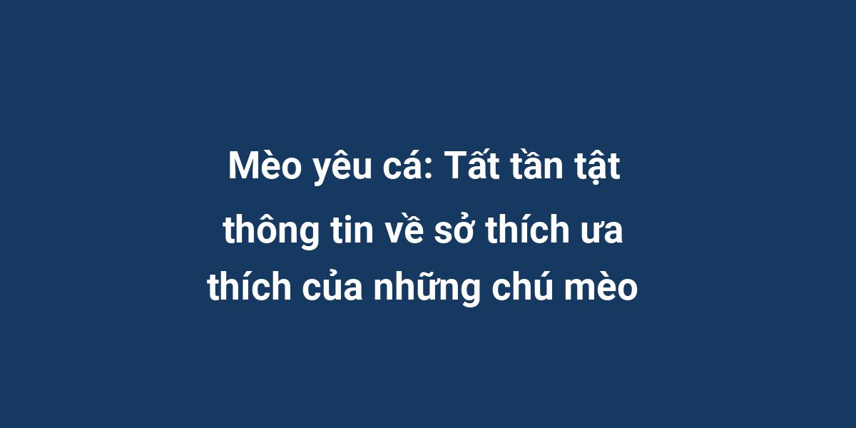 Mèo yêu cá: Tất tần tật thông tin về sở thích ưa thích của những chú mèo