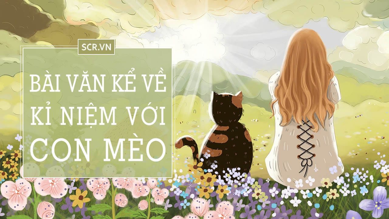 Thông tin về Mimi và Meo Meo - Tìm hiểu về hai giống mèo đang được yêu thích